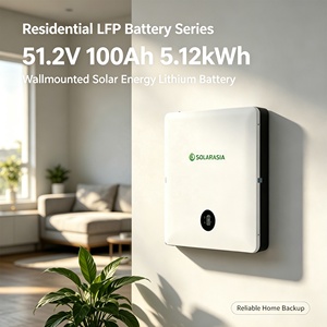 Batterie lithium LifePO4 51,2 V 100 Ah pour stockage d'énergie résidentiel, montage mural, cycle profond, 5,12 kWh, pack de batteries lithium-ion pour la maison - Product Image 2