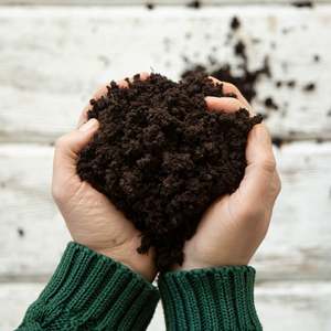 Il terreno di invasatura organico compresso <span class=keywords><strong>per</strong></span> <span class=keywords><strong>piante</strong></span> <span class=keywords><strong>da</strong></span> giardino le verdure si espande <span class=keywords><strong>per</strong></span> uso interno o esterno Mix Plantable derivato <span class=keywords><strong>da</strong></span> Natural - Product Image 3