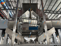 1 ~ 60 T/h Industriële Ananas Vruchtensap Concentraat Pulp Jam Verwerking Machine