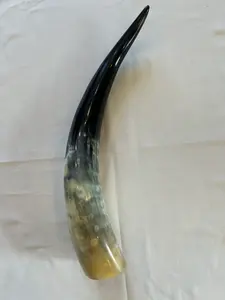 Paire de corne de buffle exquise sculptée écologique longue texture naturelle polie décor traditionnel artisanat d'animaux Souvenir nautique - Product Image 3