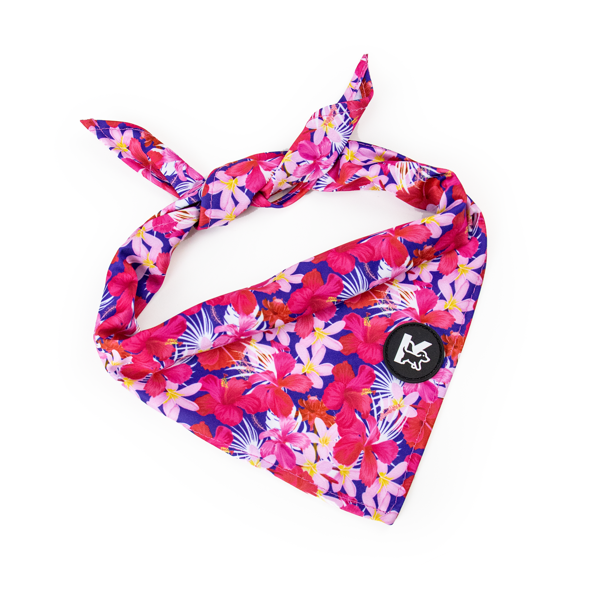 ฤดูร้อน + ป่าฝนเขตร้อน