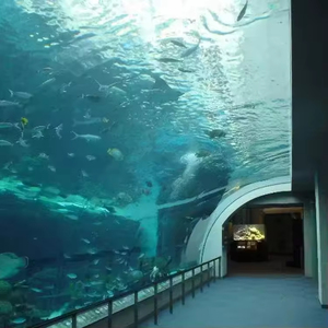 HUASHUAITE Fabrikası, Akrilik Akvaryum Tüneli için <span class=keywords><strong>Pmma</strong></span> Akrilik Levha İzolasyon Panosu Üretiyor - Product Image 4