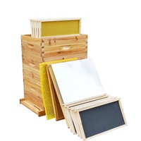 Ruche Langstroth à 3 couches, entièrement recouverte de cire, kit complet à vendre