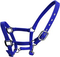 Vente en gros de bride de cheval de course réglable haute densité sangle épaissie contrôle du cheval licou accessoires d'équitation bride de cheval