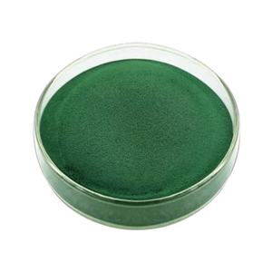 Groothandel Bulk Chlorella Extract Poeder Food Grade Chlorella Poeder - Product Image 4