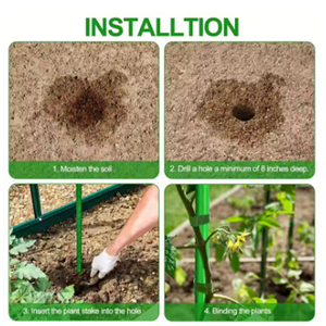 1pcs piquets de jardin <span class=keywords><strong>en</strong></span> PE, bâtons de plantes robustes supportant les piquets <span class=keywords><strong>en</strong></span> <span class=keywords><strong>bois</strong></span> <span class=keywords><strong>pour</strong></span> légumes et tomates - Product Image 6