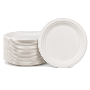 Bagasse <b>Pulp</b> Bowls 500ml With Lid Biodegradable Food Containers for Restaurant Takeout - Product Image 2