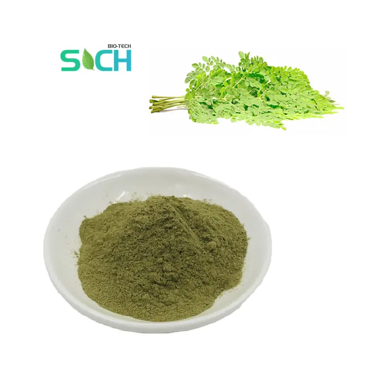 Nhãn hiệu riêng Moringa lá bột viên nang Moringa chiết xuất đóng băng khô hữu cơ giá số lượng lớn lá Moringa bột