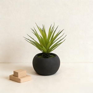 Plante succulente verte artificielle avec pot en papier mâché noir, <span class=keywords><strong>herbe</strong></span> de sabre verte artificielle en pot pour la décoration de la maison - Product Image 2