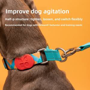 Hidream Buntes Hundehalsband & Leine für Golden Retriever Kleine/Mittelgroße/Große Hunde Halbes P-Halsband Modell HD001001 Hergestellt in China - Product Image 2