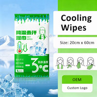 Lingettes corporelles rafraîchissantes personnalisées sans alcool, jetables, non tissées, écologiques, sensation de fraîcheur glacée, grand format, pour l'été chaud et le nettoyage
