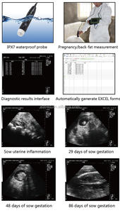 Alat USG Veteriner Portabel KT-W005, Scanner Diagnostik Hewan Genggam Murah, Probe Lemak Rektal dan Lemak Belakang - Product Image 3