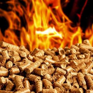 Bulk Wholesale Custom High Quality Deodorization Pellets Pine Wood <b>Cat</b> <b>Litter</b> - Product Image 6