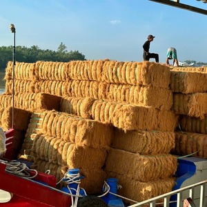ใยมะพร้าวธรรมชาติแบบม้วน ขายส่ง ใยมะพร้าวเปลือกมะพร้าวแบบดิบ เป็นมิตรกับสิ่งแวดล้อม สำหรับงานหุ้มเบาะ บรรจุภัณฑ์แบบกำหนดเองจากเวียดนาม - Product Image 5