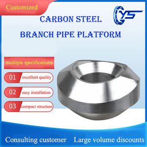 Ansi Dn10-125 углеродистая сталь нержавеющая сталь Материал <span class=keywords><strong>Weldolet</strong></span> - Product Image 6