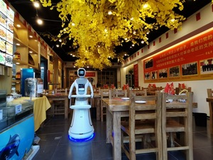 Robot serveur humanoïde intelligent de livraison de repas en plastique pour restaurant, conception de salle de restaurant, vente - Product Image 4