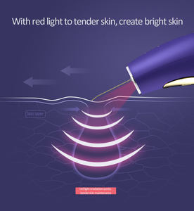 Spatule de beauté brosse exfoliant nettoyage des pores épurateur de peau à ultrasons pour le visage électrique - Product Image 6