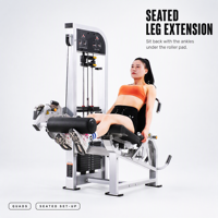 Machine tout-en-un pour extensions et flexions des jambes, idéale pour les salles de sport, les clubs de fitness et la musculation à domicile, équipement d'entraînement des muscles des jambes