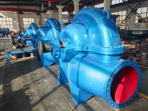 Pompe centrifuge horizontale à double aspiration à corps divisé - Pompe à eau centrifuge personnalisée pour l'industrie minière - Product Image 1
