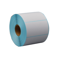 Rouleaux de papier thermique sensible à la chaleur écologiques Double Tree DT-TPS, autocollants adhésifs 48 g/m² 57*35 cm, fabrication industrielle, produit chimique, fabriqué en Chine