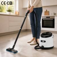 Nettoyeur de taches professionnel portable CE haute performance léger pour tissus, utilisation humide et sèche, aspirateur vapeur pour tapis