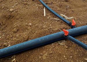 Nông nghiệp <span class=keywords><strong>PE</strong></span> Ống polyethylene Ống nông nghiệp trang trại tưới nhỏ giọt HDPE Ống - Product Image 5