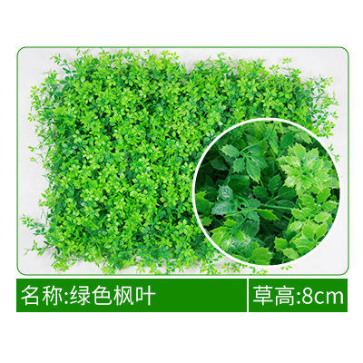 Feuilles d'érable vert