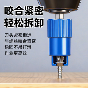 <b>Phillips</b> Bit 6.35mm Magnetic Concentric Shaft <b>Screwdriver</b> Bit Industrial Grade 50mm - Product Image 5