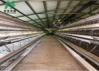 Équipement de ferme automatique pour poules pondeuses à 10000 étages