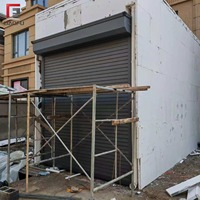 Porte à enroulement en aluminium personnalisable OEM pour villa, garage extérieur, résistante au vent et au froid, couleur et motif personnalisés