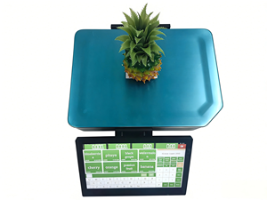 Système de caisse tactile tout-en-un <span class=keywords><strong>LongFly</strong></span> AI Smart Scale avec double écran et fonction de pesage en promotion - Product Image 5