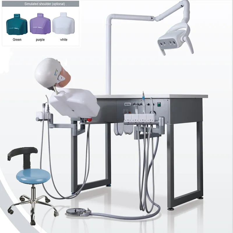 Dental Equipment Teaching Systems Phantom kopf modell mit leichtem Single Dask für die Medical School