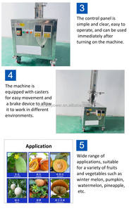 Machine à éplucher les fruits et légumes (Cantaloup, Pastèque) à tête simple ou double, facile à utiliser, 380V/Tension personnalisable, Garantie 2 ans - Product Image 4