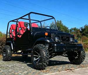 Nouveau modèle de véhicule tout-terrain 2/4 places 250cc/300cc/500cc Quadricycle 4x4 <span class=keywords><strong>Mini</strong></span> <span class=keywords><strong>Jeep</strong></span> à essence <span class=keywords><strong>Jeep</strong></span> pour enfants en vente - Product Image 2