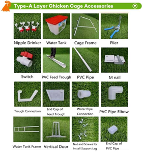 Jaulas para Cría de Pollos, Avicultura Automática, Tipo A/H, 3/4, Gallinero, Caja para Aves de Corral, Gallinero Plegable, Jaula para Gallinas - Product Image 6