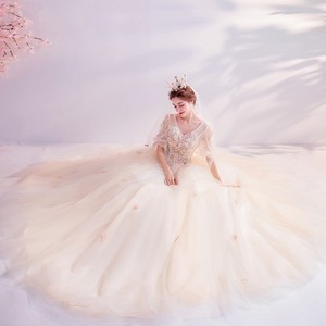Champagne Ball Gown Evening Dress V-Neck Floral Print Chiffon Empire Waistline Long Sleeve Formal Wedding Banquet Dress - Product Image 4