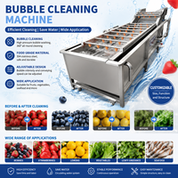 Laveuse à bulles à pression continue 3m/4m/5m/6m pour fruits (pommes, agrumes), légumes (piments, herbes) avec ozone