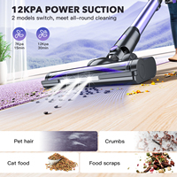 Teendow Vadrouille à vapeur commerciale Aspirateur sans fil Aspirateur balai portable sec et humide pour la maison