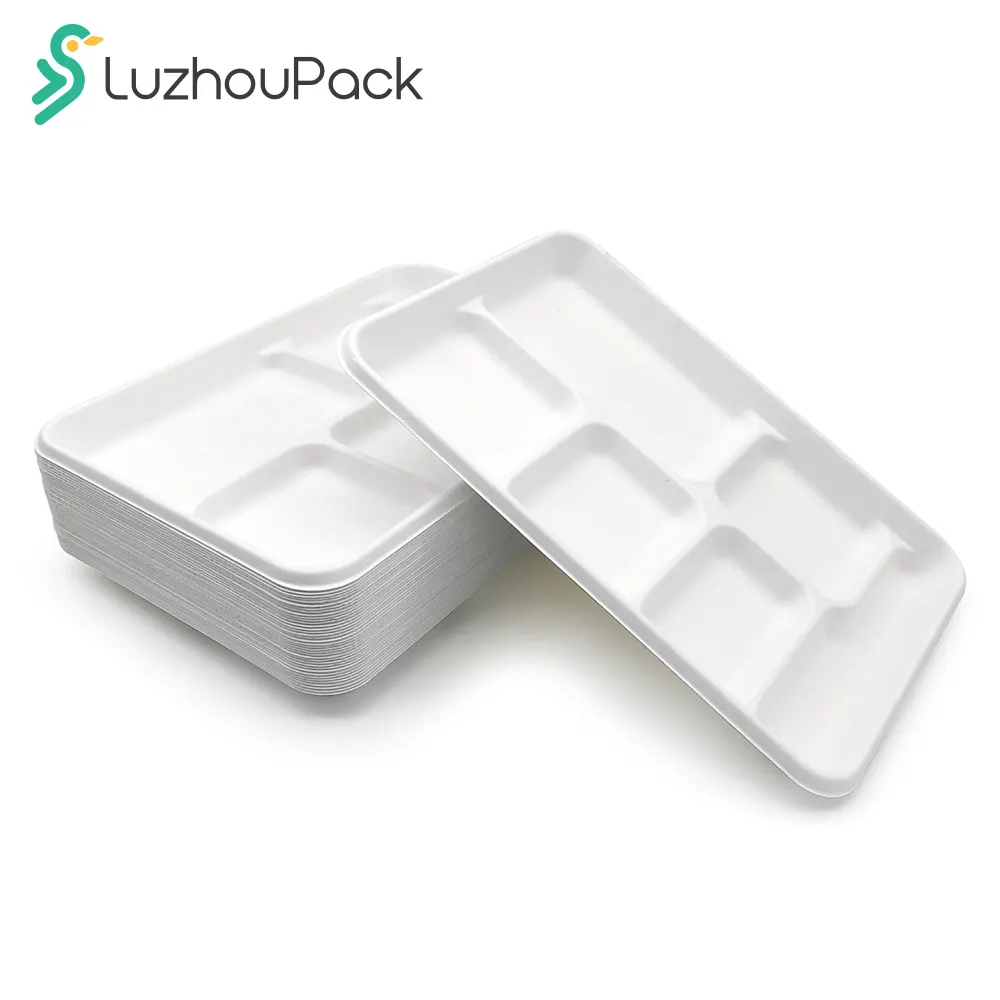 LuzhouPack 10.6 인치 6 구획 생분해성 사탕수수 Bagasse 일회용 병원 학교 급식 종이 펄프 트레이