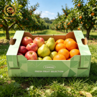 Herbruikbare milieuvriendelijke vouwbare golfkartonnen doos met luchtgaten, 10kg druiven, verse fruit export, zeevracht, levering, embossing