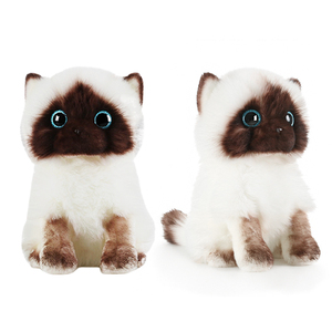 Realistico animale <span class=keywords><strong>Ragdoll</strong></span> gatto peluche farcito <span class=keywords><strong>Ragdoll</strong></span> personalizzato <span class=keywords><strong>Ragdoll</strong></span> gatto peluche bambola pezza personalizzato Plushie <span class=keywords><strong>Ragdoll</strong></span> Cat Doll - Product Image 5
