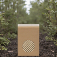 Emballage en papier kraft brun biodégradable écologique avec bulles autocollantes résistant aux chocs pour masque facial parfum