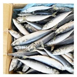 الأعلى مبيعًا بسعر الجملة منخفض السمك البحري الطازج الأسماك المجمدة السمك السمكري المصدرون