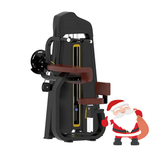 Nuevo estilo Tricep Dip Venta caliente Máquina de gimnasio de fuerza en precio de fábrica para ejercicio <span class=keywords><strong>Centro</strong></span> de Gimnasio Profesional - Product Image 5