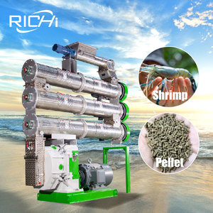 Machine à granulés RICHI certifiée CE pour petites crevettes - Product Image 1