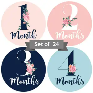 Pegatinas mensuales para bebés, adhesivos florales para bebés, meses recién nacidos, juego de 24 placas