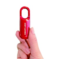 Mini cadenas à empreintes digitales sans clé, 10 pièces, pour sac, bagages, gymnastique, sécurité antivol, serrure biométrique, cadenas intelligent à empreintes digitales