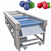 Diepvriesvoedselfabriek gebruikt fruit sorteermachine voor aardbeien, bosbessen, frambozen |   Zacht sorteren, geen schade