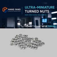 Écrou mince en forme de T en acier inoxydable OEM M1, écrou miniature non standard ultra micro tourné pour téléphone portable, iPhone 12