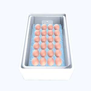 Tolcat 24 100 500 1000 Năng Lượng Mặt Trời Trứng Gà Máy Ấp Trứng Tự Động Máy Ấp Trứng Ở Uae - Product Image 4